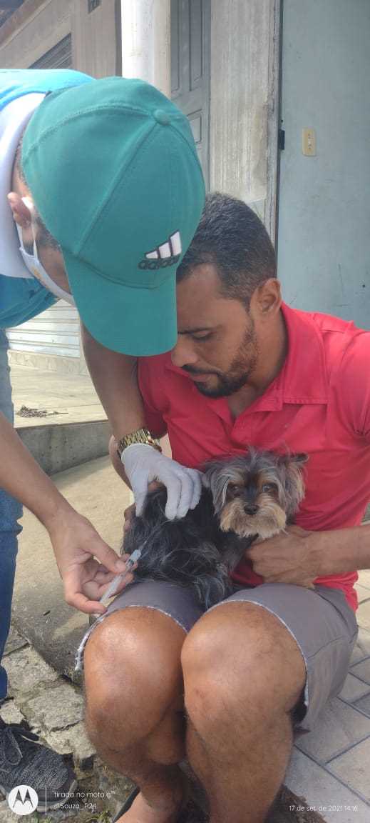 Camacã: Prefeitura realiza campanha de Vacinação antirrábica